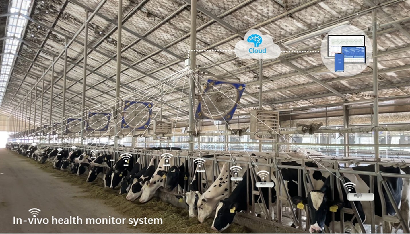 体内健康监测系统