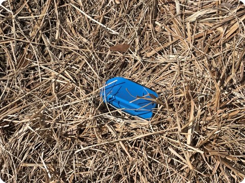 Xbolus 体温监测胶囊 - 产品展示