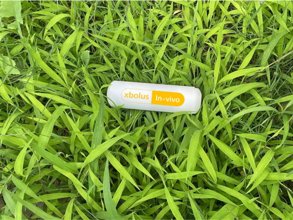 Xbolus产品
