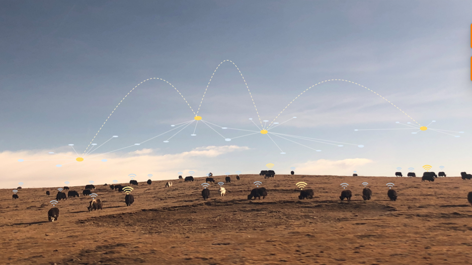 Smart Farming Solution