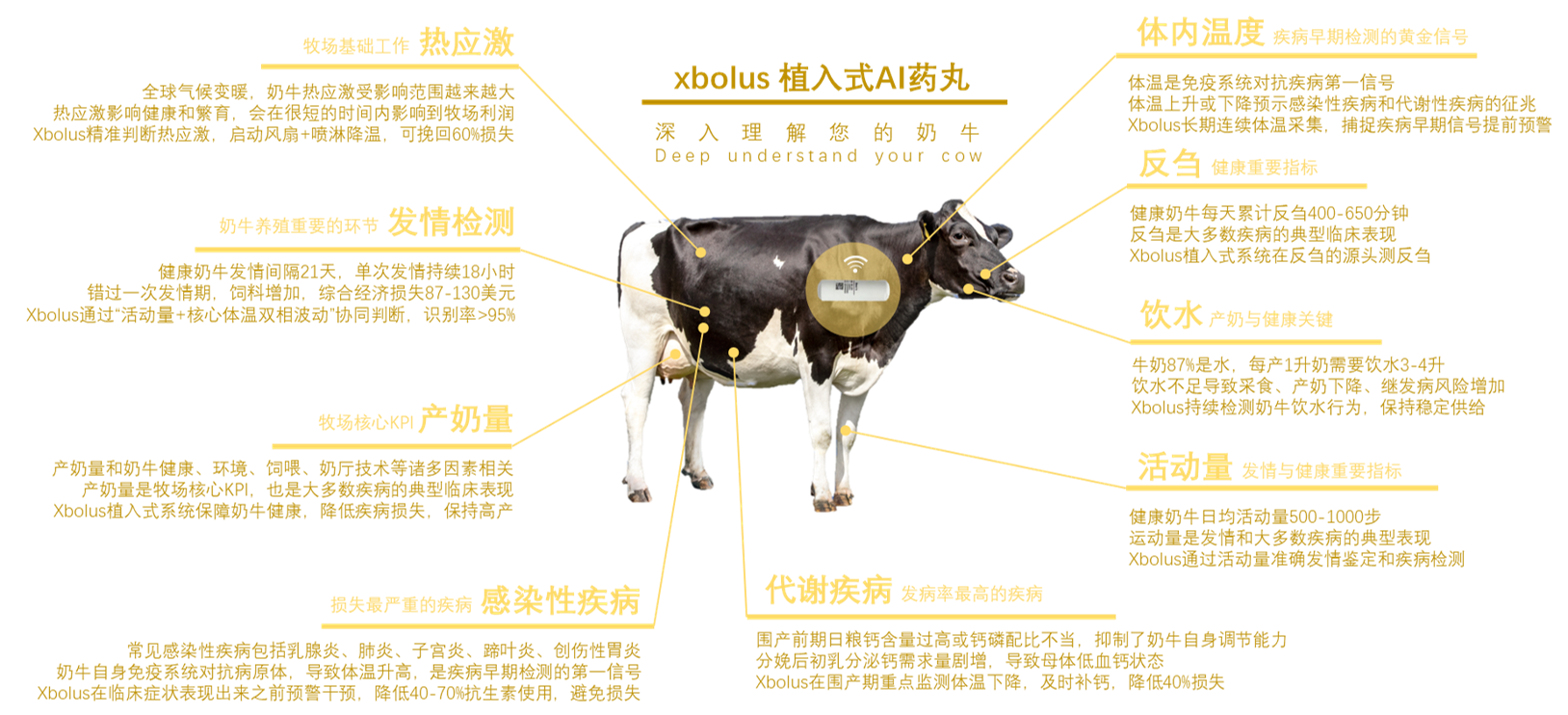 奶牛数字化技术演进