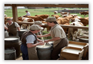 机械化养殖详情