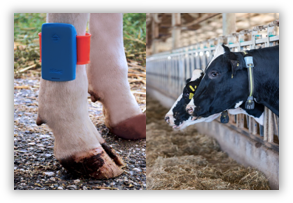 传感器监测详情