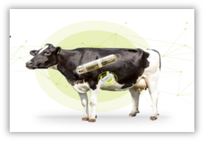 AI智能分析详情